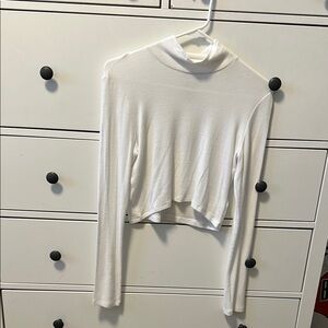 Aritzia Cropped Turtleneck
